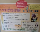 いけばな体験 和（なごみ）講座