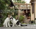Japan Stray Cats Photographers 第2回 写真展