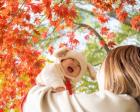【べびふぉと無料撮影会】🍁秋のファミリー撮影会🍁in 京都嵐山