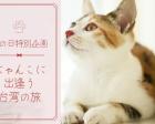 【オンラインイベント】台湾猫村＋世界初の猫カフェでにゃんこに出会う旅