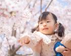 【べびふぉと無料撮影会】日本一早い🌸さくら撮影会 in 桜の森公園