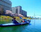 桜 お花見  東京 水路『スカイツリー 運河 カヤック クルーズ』