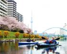 春休み 桜 お花見 東京スカイツリー カヌー カヤック体験
