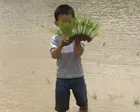 5/27,28今年もやります！ニコニコお米農園～田植え体験～2023