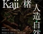 Washi＋Performing Arts? Project 「Kaji / 楮」「人造自然」