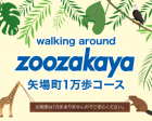 walking around ZOOZAKAYA 