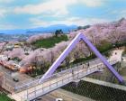 【桜・見ごろ】西山公園