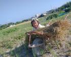 極早稲玉ねぎの収穫と竹細工体験