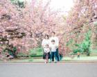 【八重桜撮影会】4月・渋谷区の八重桜撮影会