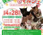 百町保護猫譲渡会＆マルシェ（4月）