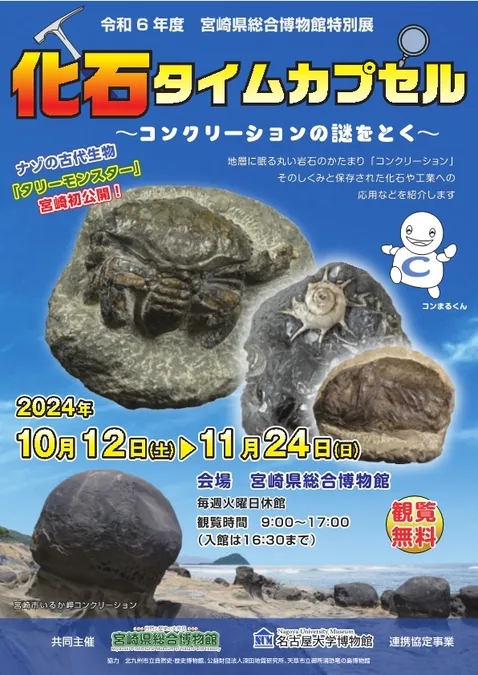 [岩石標本]長崎県産 コンクリーション(団塊) 約10cm 特別展「化石タイムカプセル」 ～コンクリーションの謎をとく～ | 宮崎