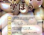 神奈川県立青少年センター科学部◆自然観察会『どんぐりを学ぼう』