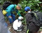 高尾山　秋の親子自然観察会