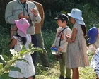 一之江抹香亭「いきもの観察会【秋】」