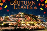 TOTTEI PARK イルミナイト AUTUMN LEAVES