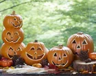 親子で楽しむ ハロウィンスタンプラリー2026