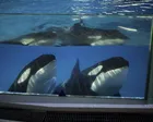 秋のナイトアドベンチャー