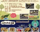 星空映画会