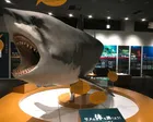 サメサメサメツアー