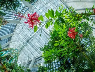 脱・いつもの写真！花の写真のマンネリを撃退する「一工夫」講座