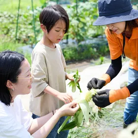 【とれたて野菜】えいごであそぼう ～親子で収穫体験～＠北千住