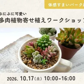 【越谷】多肉植物寄せ植えワークショップ