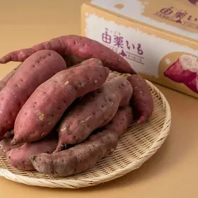 羊ヶ丘焼きいもまつり～毎日50名にふるまいも～
