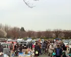 川越水上公園ビッグフリーマーケット（12月）