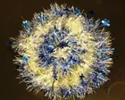 科学教室「光ファイバークリスマスリース」
