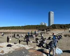 11／7（土）幕張の浜ビーチクリーン（参加無料）