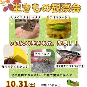 生きもの観察会 ～秋の虫さがしと草花あそび～