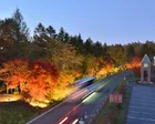 道の駅　草津運動茶屋公園「紅葉ライトアップ」