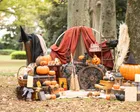 【南町田】2026/10/22（木）ハロウィン撮影会