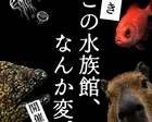 【竹島水族館なぞとき】この水族館、なんか変。