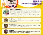 ORGANIC MARCHE@NISHIKI
