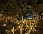 また来ようねって言いたくなる夜　三重赤目「滝あかり」