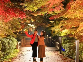 弘前城菊と紅葉まつり