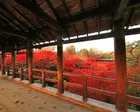東福寺　夜間拝観