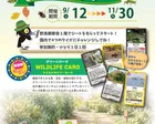 秋のおさんぽクイズラリー