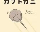 サイピア秋の企画展「カブトガニ目カブトガニ科カブトガニ」