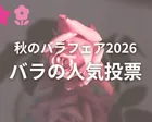 秋のバラフェア2026