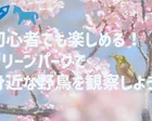 初心者でも楽しめる！身近な野鳥を観察しよう