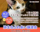 【11月】弥生台ふれあい譲渡会（完全予約制）