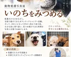 動物愛護写真展「いのちをみつめる」