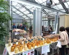 きのこ展～驚きの菌食の世界～