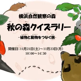 秋の森クイズラリー ～植物と動物をつなぐ旅～