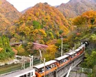 【紅葉・見ごろ】黒部峡谷