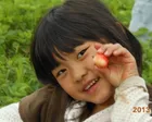 2週間限定　幻の生落花生！