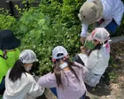 ～市民の森で遊ぼう！～森のプレイパーク