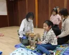 広島県動物愛護センター 親子 DE 動物ふれあい教室（11月）